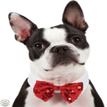 Pooch Outfitter Sparkling Red Sequined Holiday Bow Tie Dress-Up Shirt Collar for Dogs Sizes S Thru 3XL (2XL - Neck 19"-21", Sparkle Red)