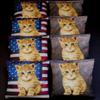 BackYardGamesUSA Patriotic CAT Lovers Kitten RED and Blue Set of 8 Regulation Cornhole Bean Bags B215 view 1