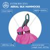 Aerial Silk Yoga Hammock & Swing for Home, Inversion Exercises, Starter Kit for All Levels - Durable with Extension Straps, Carabiners, and Pose Guide view 2