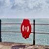 Glasdon Guardian 24" Life Ring Cabinet (Red) - Water Safety Equipment (Rail Mounting) view 3