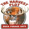 SeedRanch Buck Forage Oats - 10 Lbs. view 1