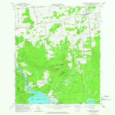 YellowMaps Ellenburg Center NY topo map, 1:24000 Scale, 7.5 X 7.5 Minute, Historical, 1964, Updated 1966, 26.9 x 22.1 in - Tyvek