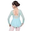 117241004 Toddler Long Sleeve Mesh Dance Leotard Ballet Leotards for Girls view 2