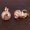 Fashion Cute CZ Flower Clip on Earrings for Women Ear view 2