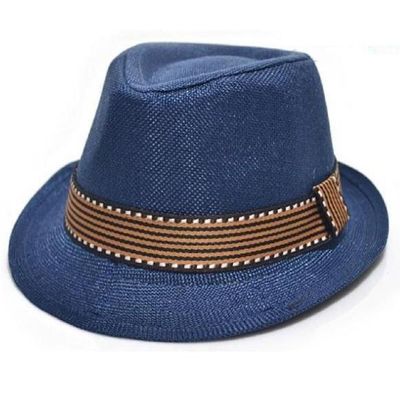 Hooyi Unisex Baby Jazz Cap Kid Rolled Brim Trilby Fedora Hats (Blue)
