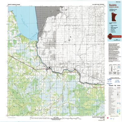 YellowMaps Baudette MN topo map, 1:100000 Scale, 30 X 60 Minute, Historical, 1976, Updated 1993, 27.23 x 21.53 in - Tyvek