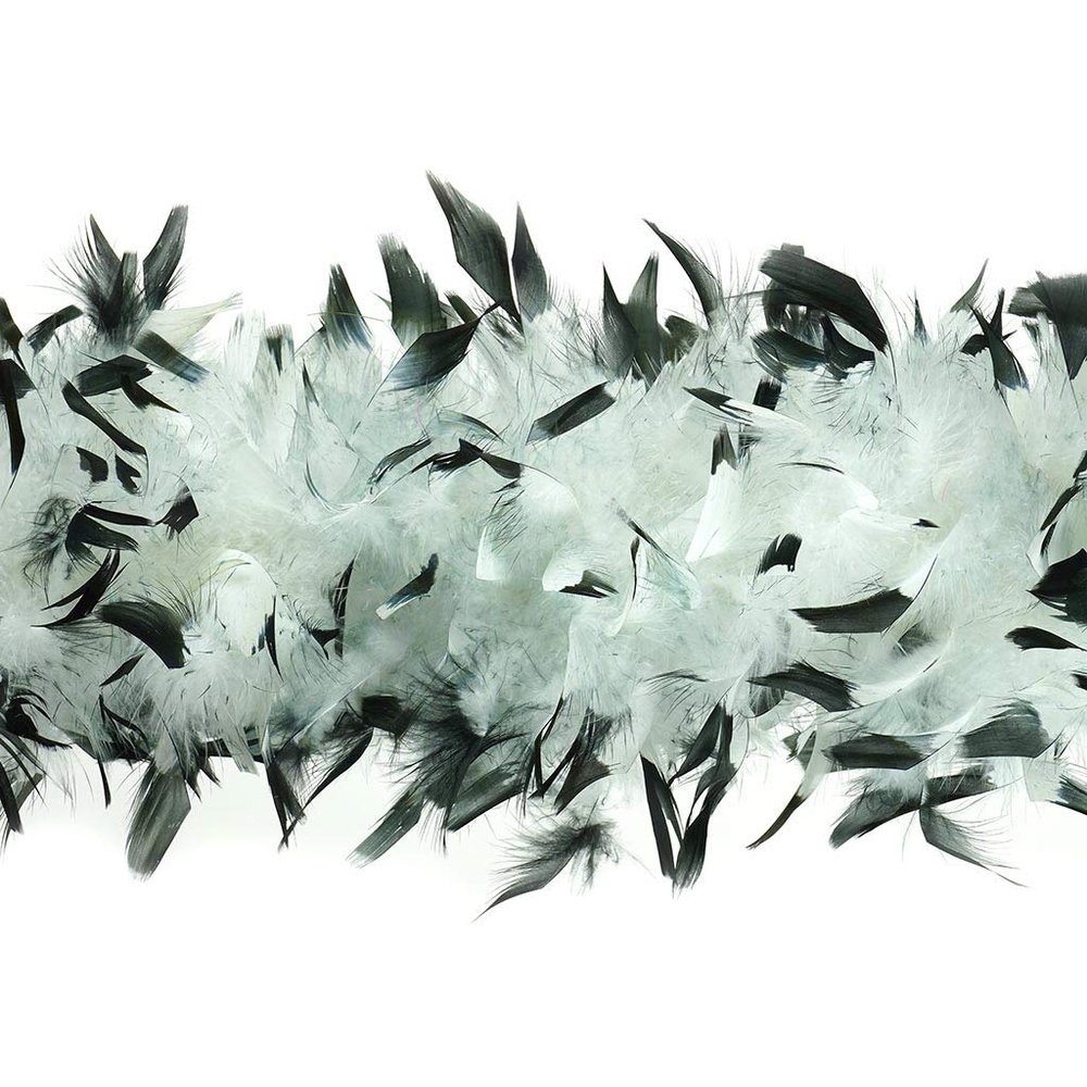 ZUCKER Chandelle Boas Tipped - White/Black -7.5"