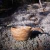 Kupilka 37 Natural Fibre Outdoor Cup  370ml Lightweight Eco-Friendly Camping Mug  Durable Scandinavian Design  Dishwasher Safe  Made in Finland view 4
