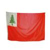 3x5' New England Continental Flag, All Weather Nylon for Outdoor, Made In USA view 1