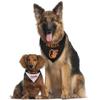 Pets First ORL-3217-S-M MLB Baltimore Orioles Reversible Pet Bandana, Small/Medium, MLB Team Color view 2