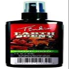 Earth 4OZ Cover Scent
