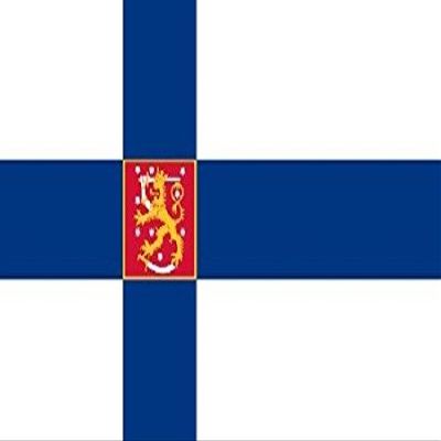 3x5 Valtiolippu Finland State Flag Finnish Banner Pennant New Vivid Color and UV Fade Resistant Canvas Header and Double Stitched polyester materia