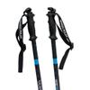 WhiSki Poles Original Best Gift for Skiers - SKI Pole FLASKS Holding 16 oz + Free Collapsible Funnel + Stickers view 3