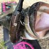 Gamakatsu RB-M Treble Hook, Rose, Twin, Silver, Limited view 3