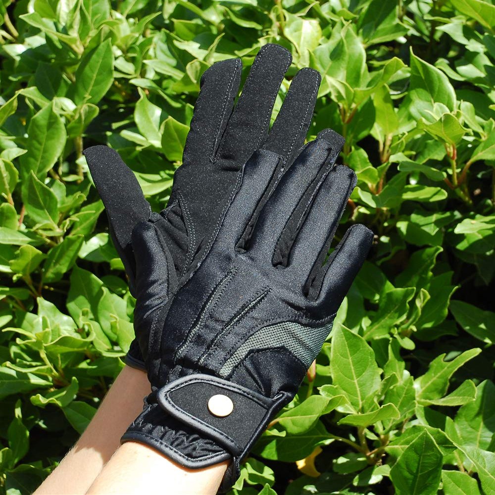 Rhinegold Elite Nubuck Suede Stretch Glove-Medium-Black