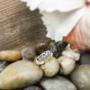 Honolulu Jewelry Company Sterling Silver LOVE with Antique Finish Toe Ring view 2