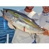 Goture Fishing Jig 80-200g with Assist Hook, Vetical Jig Saltwater, Speed Fast Jigging Spoon Lure, Deep Sea Fishing Lures for Tuna, Kingfish, Bluefin, Yellowfin, Snappers, Groupers, Striper, Salmon view 2