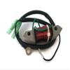 Boat Motor 66T-85533-0 Lighting Coil Case T40-05000600W for Yamaha Parsun Makara Outboard 40HP E 40X New 2 stroke Boat Engine
