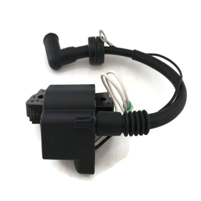 Boat Motor 6BV-85571 6BV-85570 Ignition Coil Assy with CDI for Yamaha Outboard F4HP F4C 4 stroke Engine