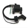 Boat Motor 6BV-85571 6BV-85570 Ignition Coil Assy with CDI for Yamaha Outboard F4HP F4C 4 stroke Engine view 3