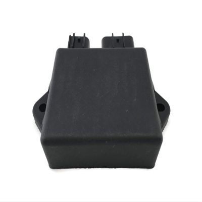 ITACO Boat Motor 66T-85540-01 66T-85540-00 CDI Coil Unit Assy T40-05090200 for Yamaha Parsun Hidea Outboard E 40HP 40XMH 2-Stroke Engine