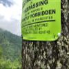 Custom Sign, No Trespassing, No Hunting, No Fishing, Posted, Heavy Gauge Vinyl, Green view 3