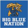 4 Inch Big Blue Nation UK University of Kentucky Wildcats Logo Removable Wall Decal Sticker Art NCAA Home Room Decor 3.5 by 4 Inches view 1