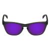 Mryok Plus Polarized Replacement Lenses Compatible with Oakley Frogskins OO9013 Sunglasses, HD Polarized, UV Protection, Impact Resistant & Perfectly Fit - Plasma Purple view 2