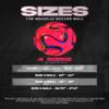 American Challenge Brasilia Soccer Ball  Sizes 5, 4, 3 & 2  Youth & Adult Training Soccer Ball for Practice, Games & Grass Fields view 2
