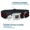 Dog Collar Seatbelt Buckle Vinyl Records 2 Stripe Red Black Gray 13 to 18 Inches 1.5 Inch Wide view 4