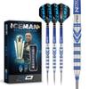 RED DRAGON Gerwyn Price 24 Gram - Tungsten Steel Darts Set with Flights and Stems view 1