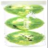 Chromax Metallic M5 Colored Golf Balls (3 Pack Tube), Green (M5greenneon3t) view 1