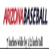 7 Inch Wildcat Baseball University of Arizona UA Wildcats AZ Removable Wall Decal Sticker Art NCAA Home Room Decor 7 by .5 Inches view 2