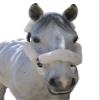 ECP Equine Comfort Products Merino Sheepskin Halter Fleece Set for Horses, 100% Natural Wool, Chafe Protection, Breathable Relief & Cushioned Comfort, Machine Washable, 6-Piece Set, White view 3