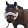 ECP Equine Comfort Products Merino Sheepskin Halter Fleece Set for Horses, 100% Natural Wool, Chafe Protection, Breathable Relief & Cushioned Comfort, Machine Washable, 9-Piece Set, White view 3