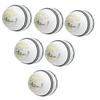 CW Special Test Cricket Ball White Top Grade Leather Cricket Ball Box of 6 Balls for Men, Adult view 1