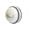 CW Special Test Cricket Ball White Top Grade Leather Cricket Ball Box of 6 Balls for Men, Adult view 3