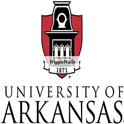 7 Inch University Arkansas Logo UARK Razorbacks Hogs AR Hog Removable Wall Decal Sticker Art NCAA Home Room Decor 7 by 4.5 Inches
