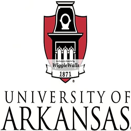 7 Inch University Arkansas Logo UARK Razorbacks Hogs AR Hog Removable Wall Decal Sticker Art NCAA Home Room Decor 7 by 4.5 Inches
