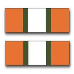 Army Jump Wings License Plate