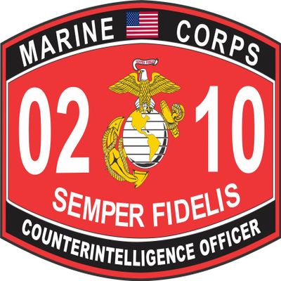 Combat Infantry Badge (CIB) 3rd Award License Plate