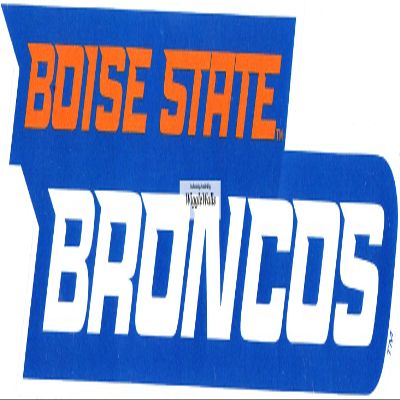 6 Inch BSU Broncos Boise State University Logo Removable Wall Decal Sticker Art NCAA Home Room Decor 6 by 1 1/2 Inches