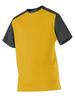 Alleson Athletic Boys Youth Mock Mesh Baseball Jersey, Dark Green/Light Gold, Large