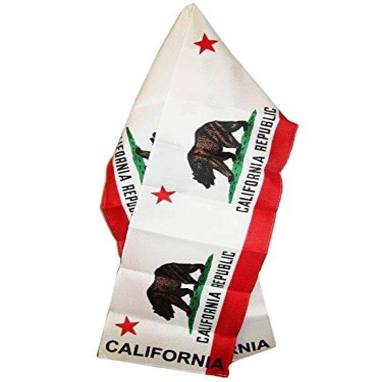 AWS State of California CA Lightweight Flag Printed Triple Knit Polyester Style Scarf 8"x60" (Imported)