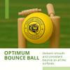 CW Indoor Yellow Cricket Ball, Pack of 12, Stitched, Leather, 7cm, 120g, Adult, Standard, Yellow view 3