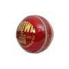 CW Crown Senior Grade Leather Cricket 4 PCE Ball Match Quality Balls Pack of 6 view 2