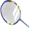 Babolat Prime Essential Graphite Badminton Racquet (Blue) view 2