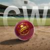 CW Garrison Hard Ball Cricket Ball Genuine Leather Premium Quality Pack of 4 Balls view 3
