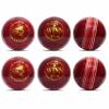 CW Winn Professional Cricket Ball Men - Adult Leather Water Proof 4 Piece Construction Tournament & Match Quality Pack of 12 view 1