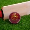 CW Winn Professional Cricket Ball Men - Adult Leather Water Proof 4 Piece Construction Tournament & Match Quality Pack of 12 view 2